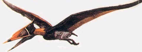 Phobetor