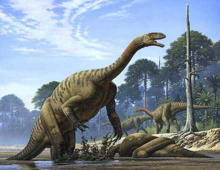 Plateossauro Plateossauro