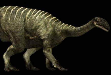 Plateossauro Plateossauro