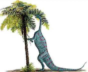 Plateossauro Plateossauro