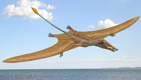 Preondactylus