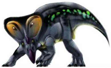 Protocerátops Protocerátops