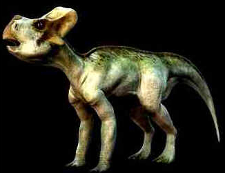 Protocerátopsídeos Protocerátopsídeos