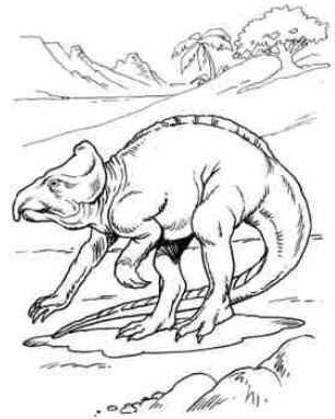 Protocerátops Protocerátops