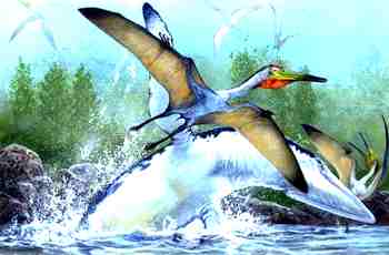 Pterodactylus