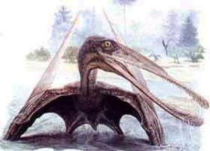 Pterodactylus