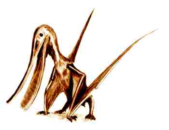 Pterodaustro