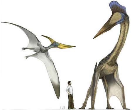 Pterossauros Pterossauros