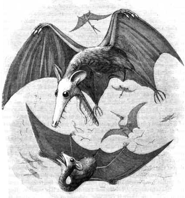 Pterossauros Pterossauros