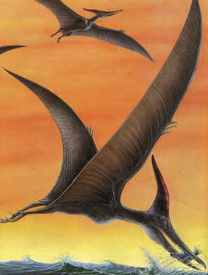 Pterossauros Pterossauros