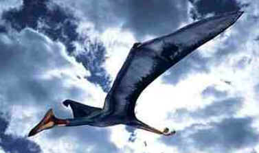 Quetzalcoatlus