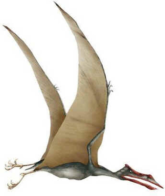 Quetzalcoatlus