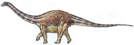 Saltassauro Saltassauro
