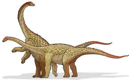 Saltassauro Saltassauro