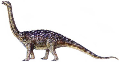 Saltassauro Saltassauro