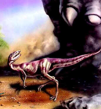 Saltopus Saltopus
