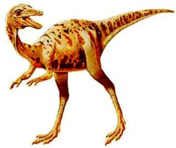 Saltopus Saltopus