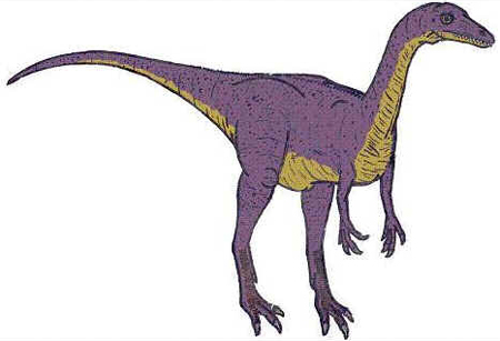 Saltopus Saltopus