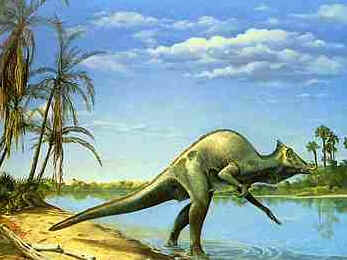 Saurolophus Saurolophus