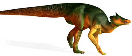 Saurolophus Saurolophus