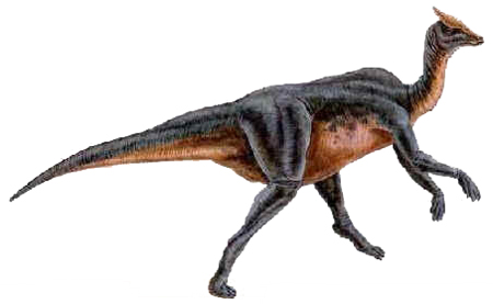 Saurolophus Saurolophus
