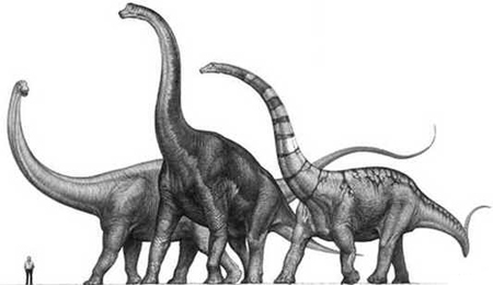 Saurópodes Saurópodes