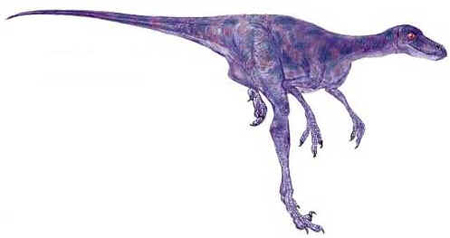 Saurornithoides Saurornithoides