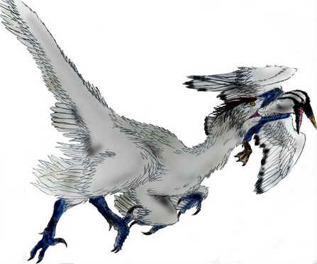 Saurornitholestes Saurornitholestes