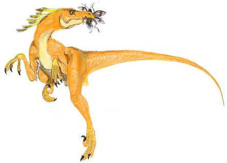 Saurornitholestes Saurornitholestes