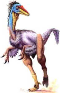 Saurornitholestes Saurornitholestes