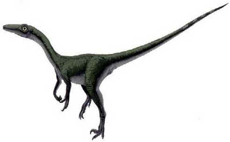 Saurornithoides Saurornithoides