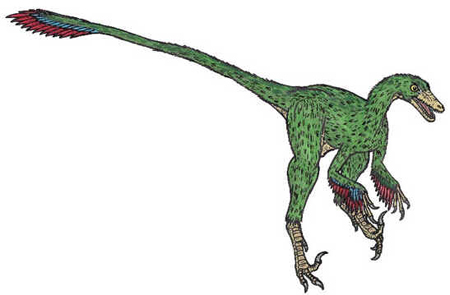 Saurornithoides Saurornithoides
