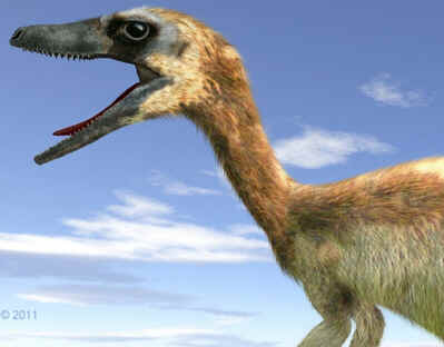 Saurornithoides Saurornithoides