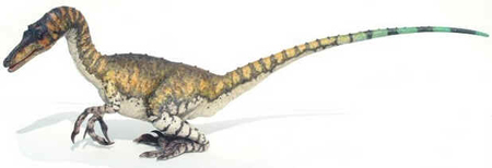 Saurornithoides Saurornithoides