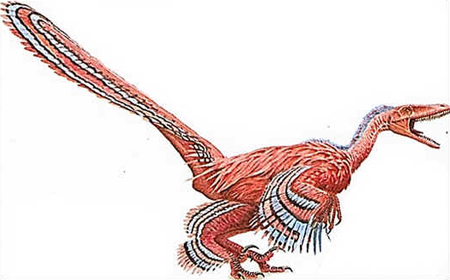 Saurornitholestes Saurornitholestes