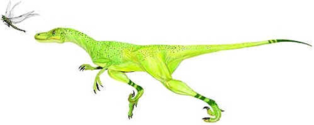 Saurornitholestes Saurornitholestes