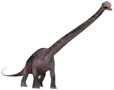 Seismossauro Seismossauro