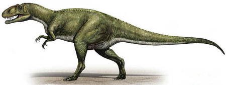Sinraptor Sinraptor