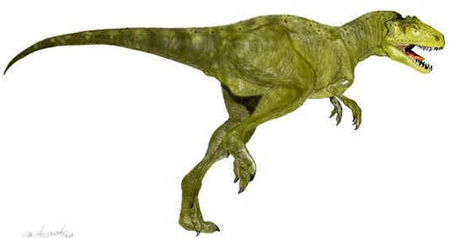 Sinraptor Sinraptor