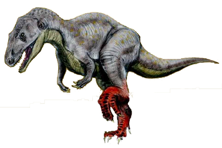 Sinraptor Sinraptor