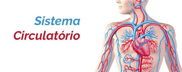 Sistema Circulatório