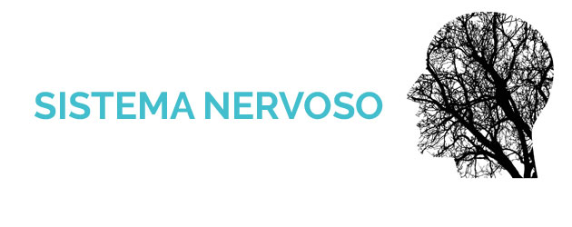 Sistema Nervoso