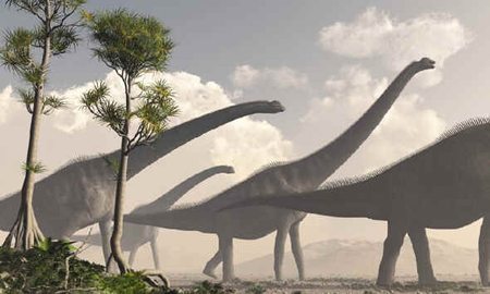Sauroposeidon