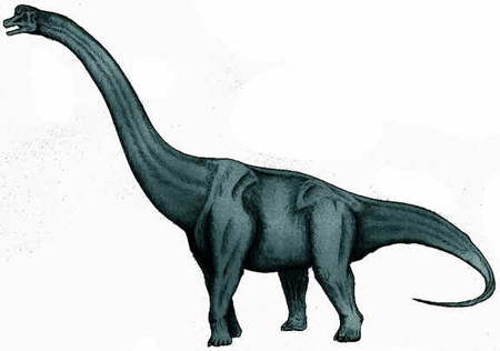 Sauroposeidon