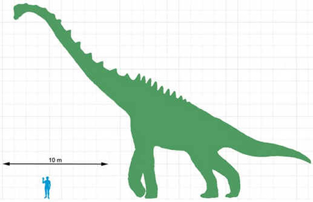 Sauroposeidon
