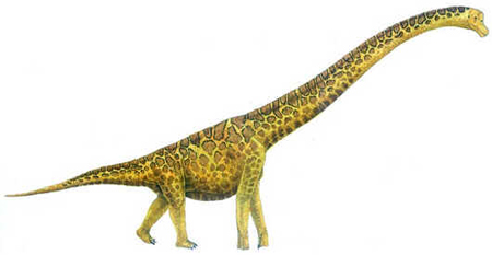 Sauroposeidon