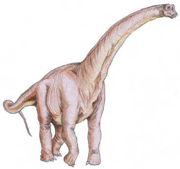 Sauroposeidon