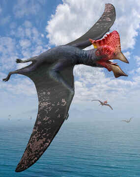 Tapejara Wellnhoferi