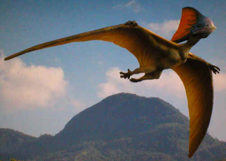 Tapejara Wellnhoferi