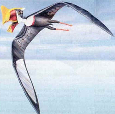 Tapejara Wellnhoferi